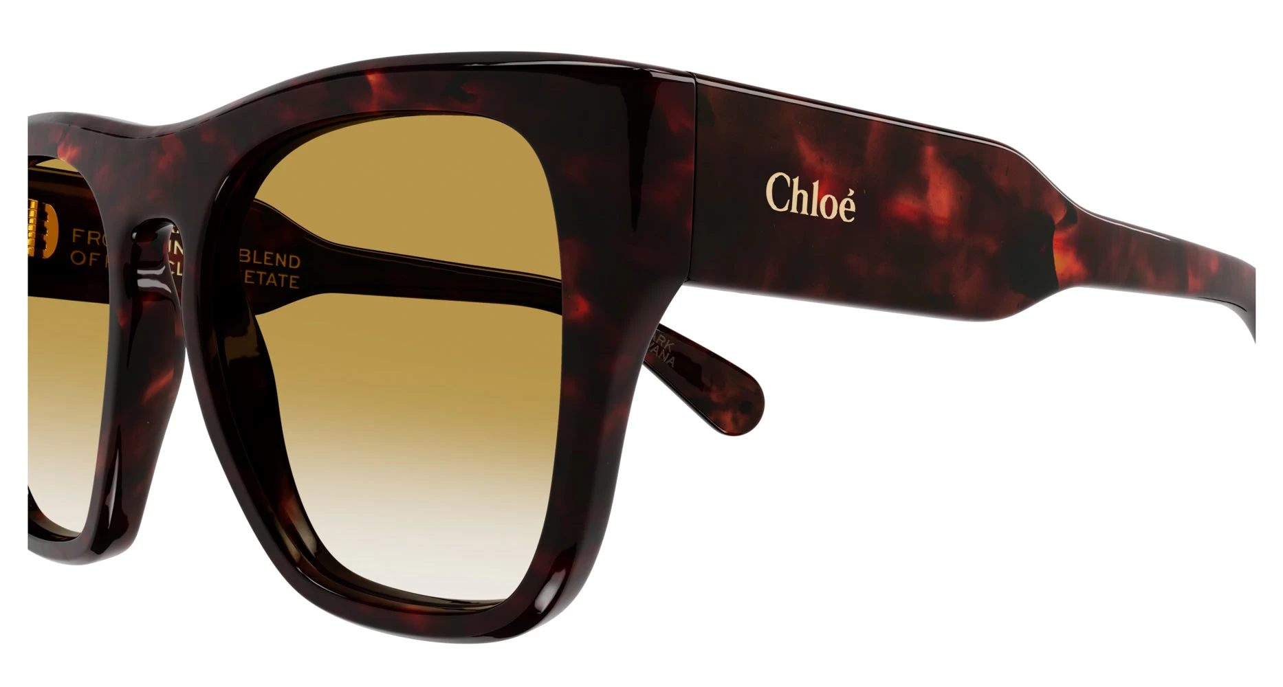 Chloé Chloe CH0149S - Image 6