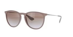 Rayban Erika Sunglasses
