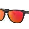 Oakley Frogskins OO9013